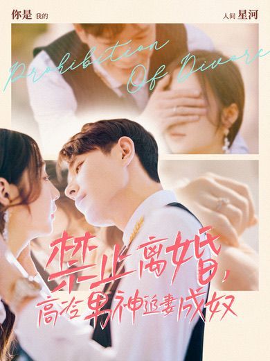 禁止離婚，高冷男神追妻成奴(全集)