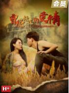 曾經錯過的愛情(全集)