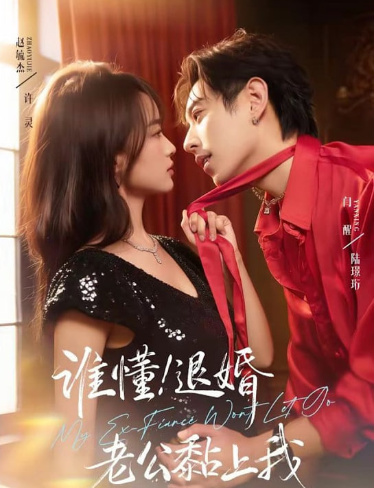 誰懂！退婚老公黏上我(全集)